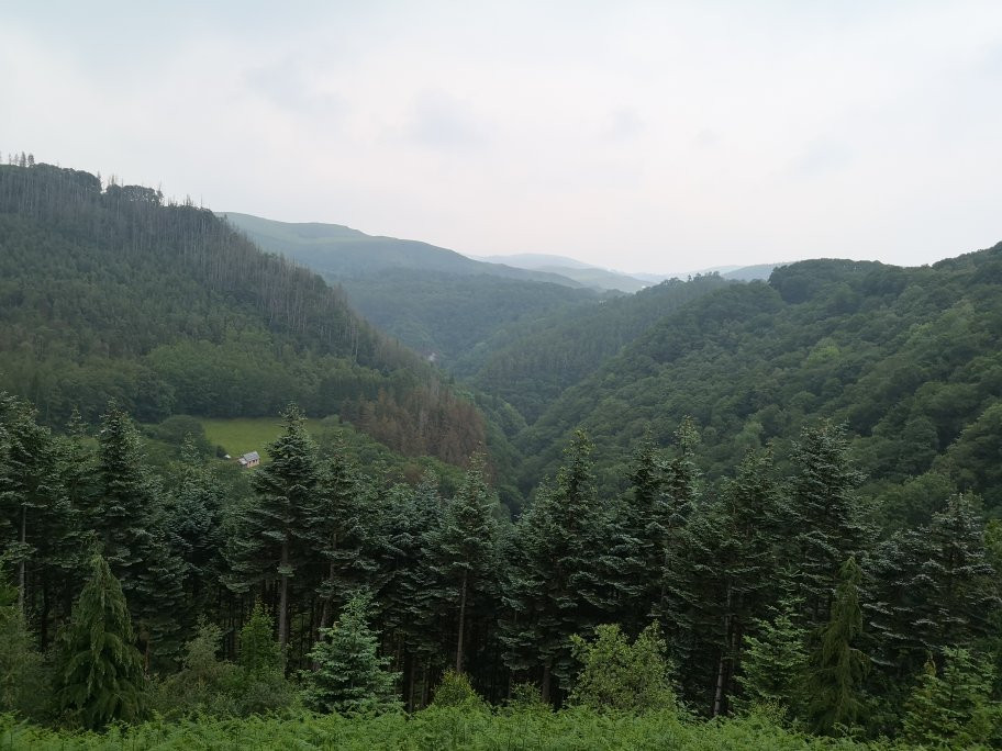 Vale of Rheidol Railway景点图片