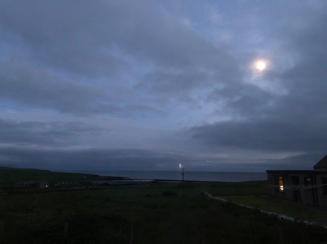 Marwick Head RSPB Nature Reserve景点图片