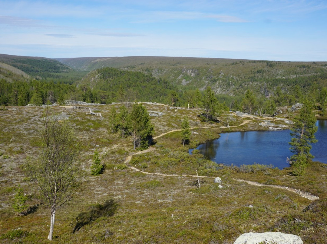 Kevo Strict Nature Reserve-Utsjoki必去景点