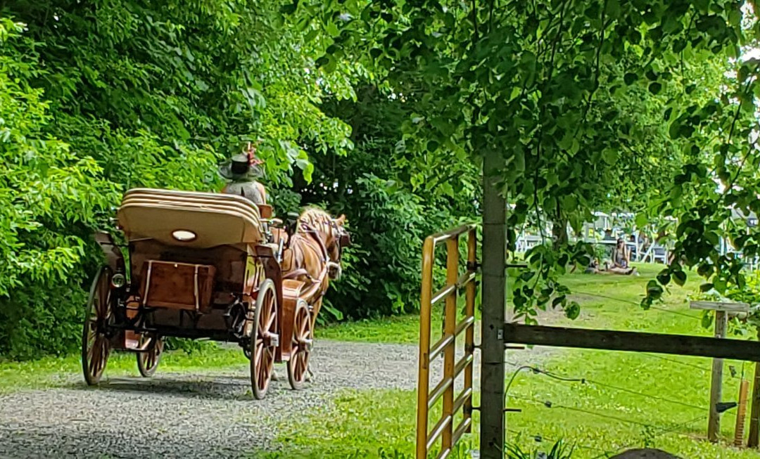 WineHaven Winery and Vineyard-Chisago City必去景点