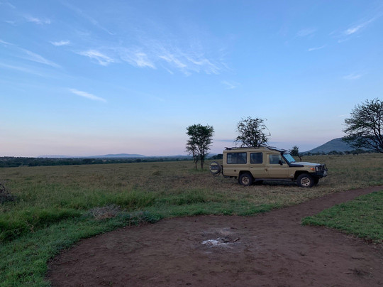 Kipori Safari-莫西必去景点