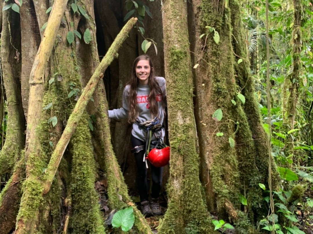 Tucanopy-Nanegalito必去景点