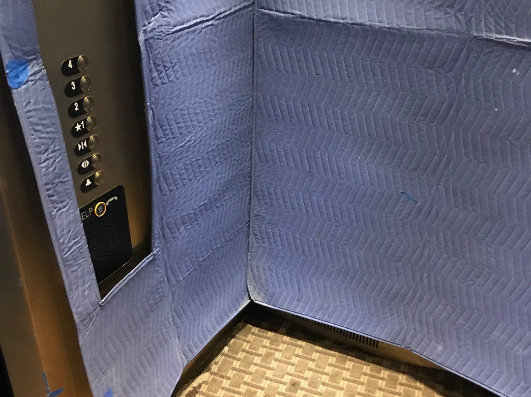 Comfort Suites Olive Branch West主图