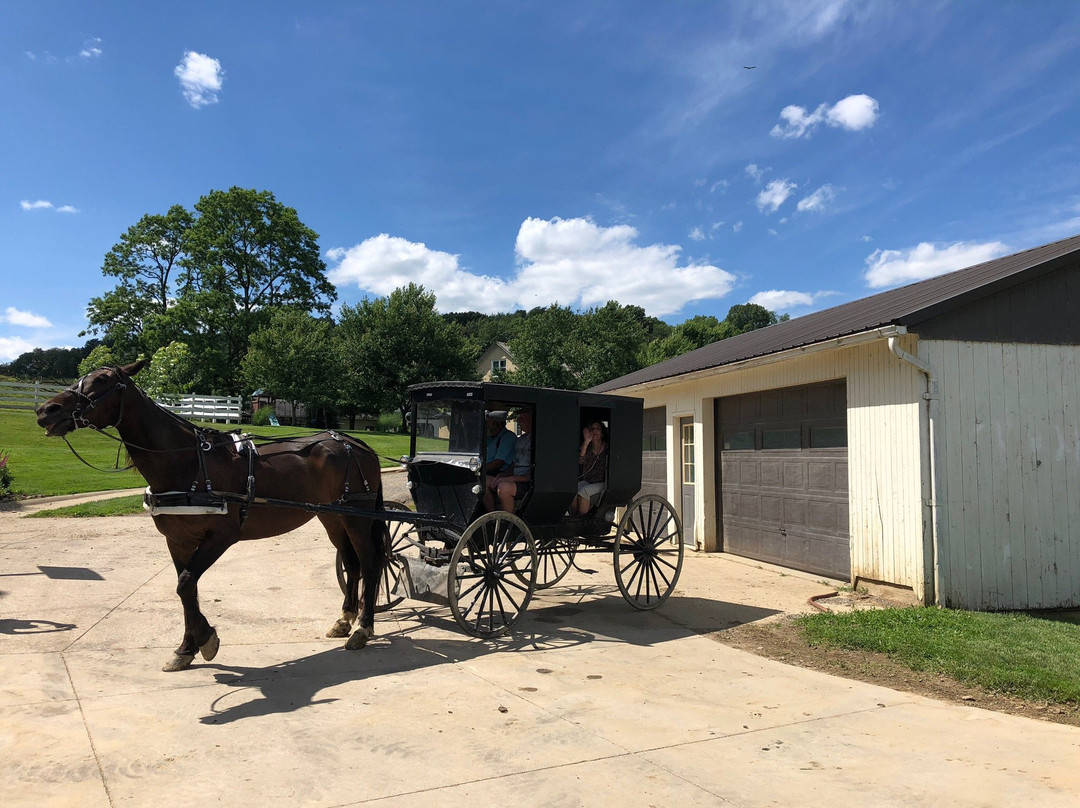 Amish Heartland Tours景点图片