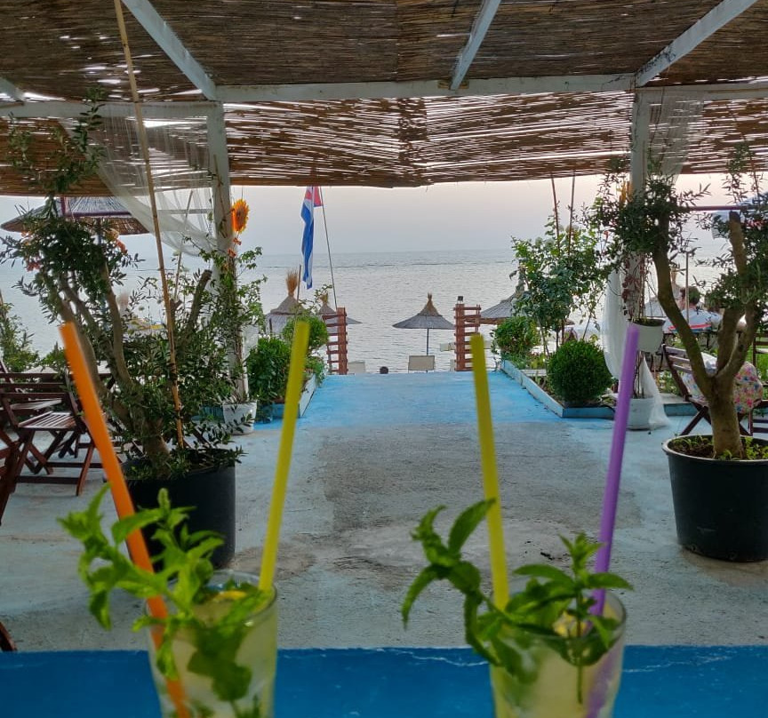 The Beach Bar-杜勒斯必去景点