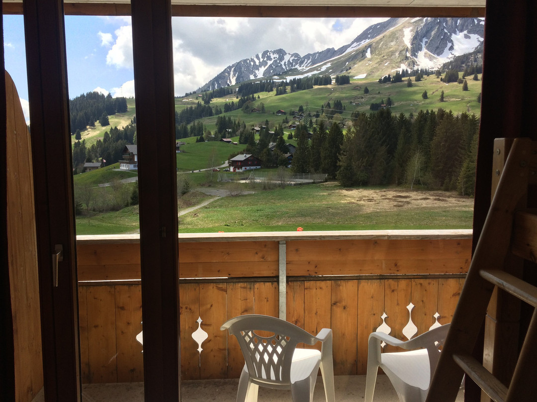 Hotel Le Relais Alpin主图