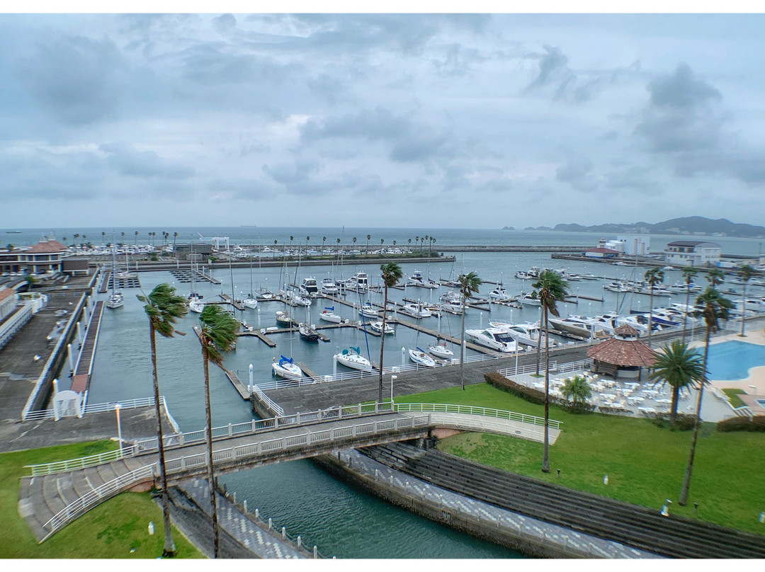 和歌山港皇家松树酒店主图