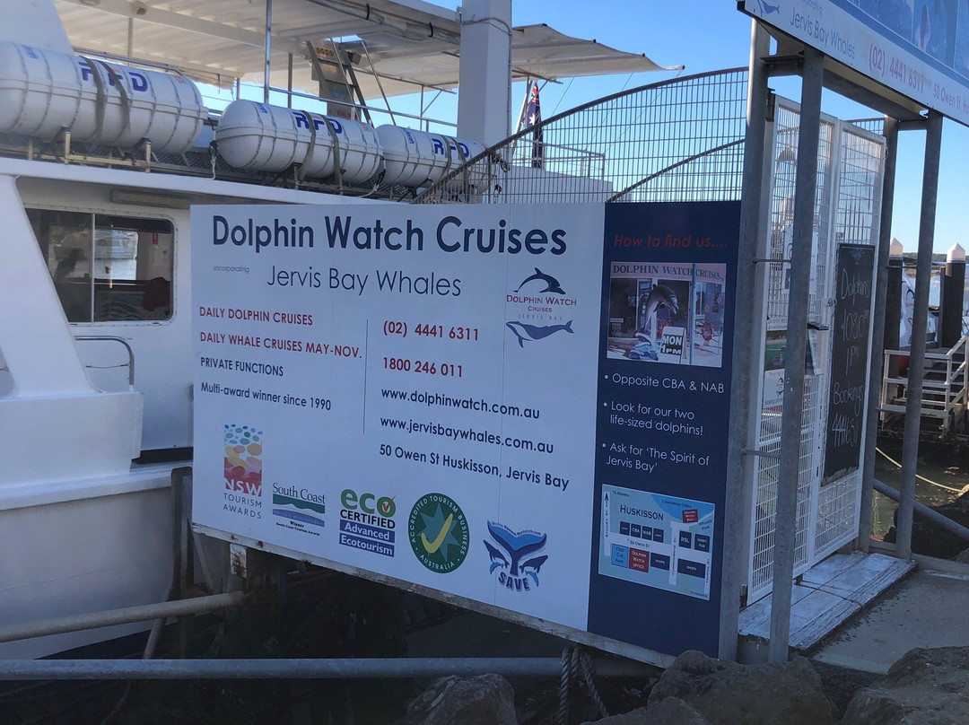 Dolphin Watch Cruises景点图片
