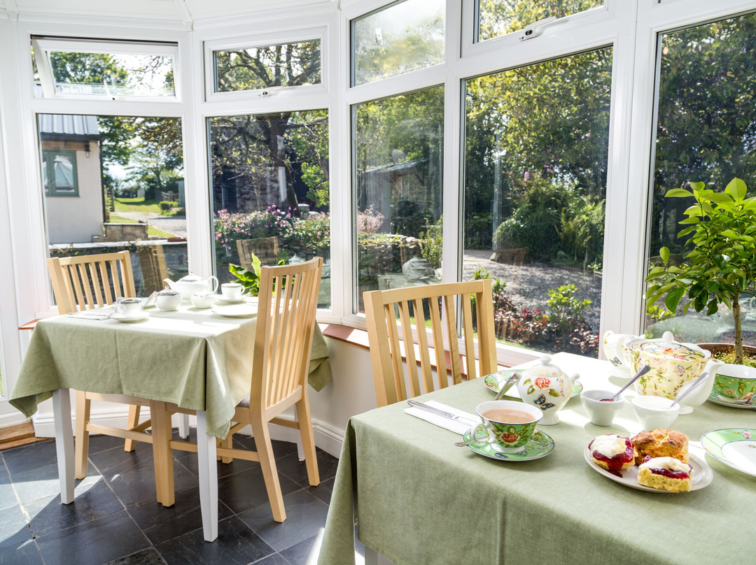 Trewint Farm Bed & Breakfast主图