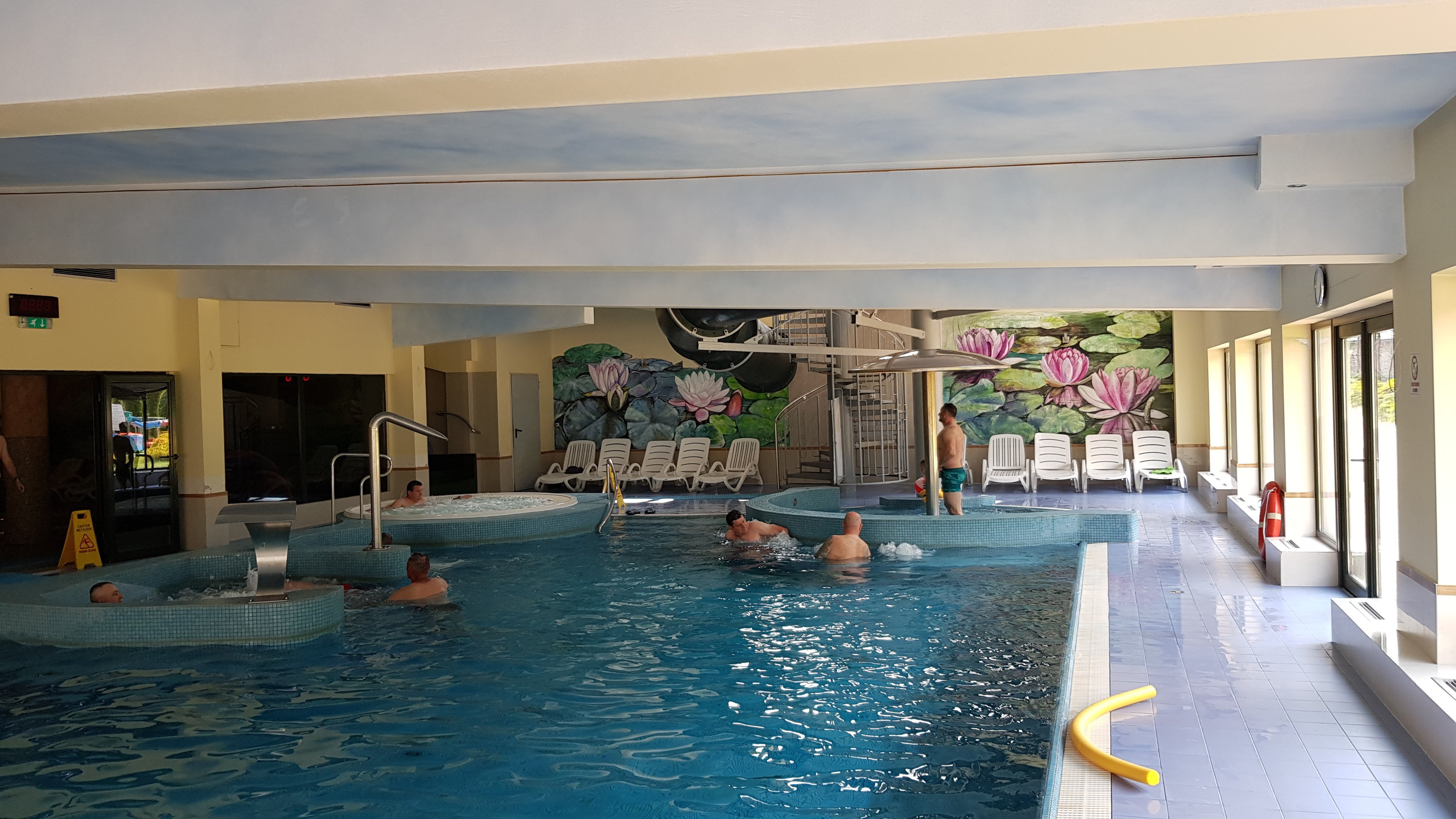 Hotel Villa Verde Congress & Spa-泳池