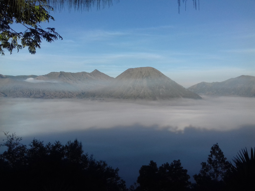 布罗莫柏美酒店主图