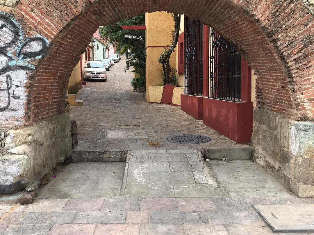 Oaxaca Cultural Navigator景点图片