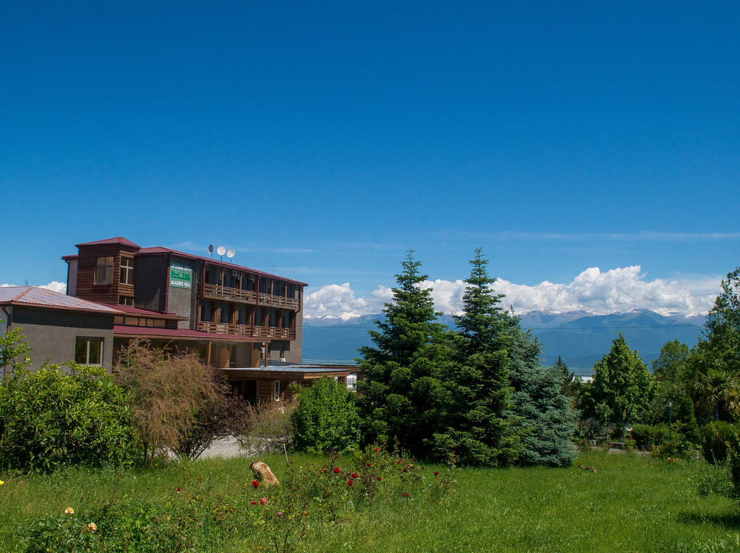 阿雷泽尼谷酒店主图