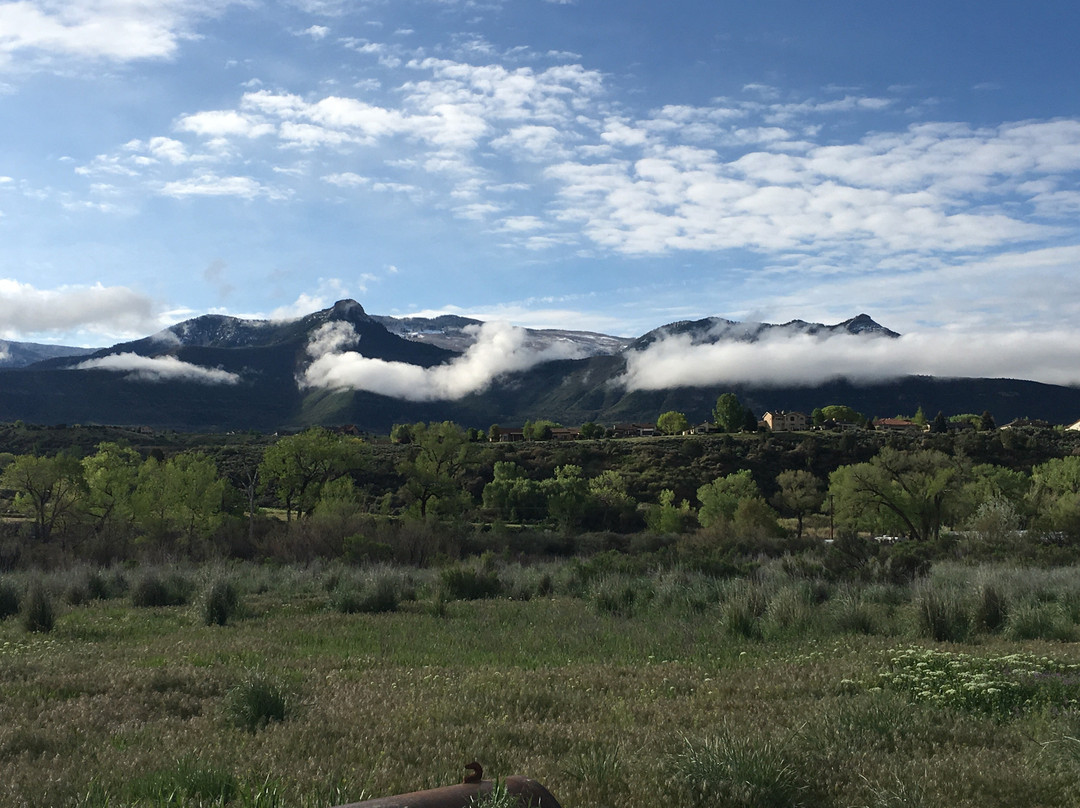 Parachute Branch Library-Parachute必去景点