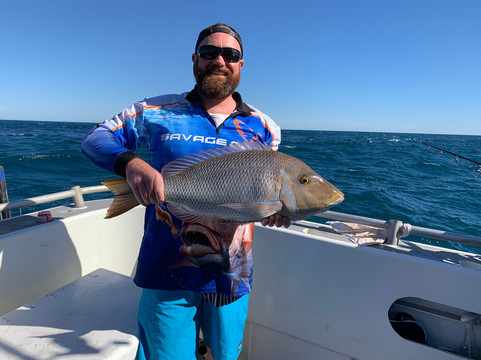 Pelican Charters-Malaga必去景点