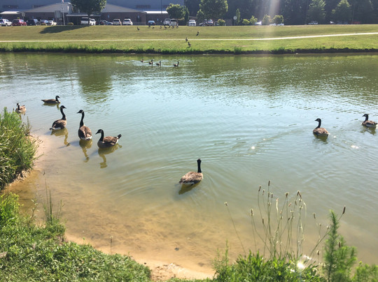 Meridian Park-Loganville必去景点