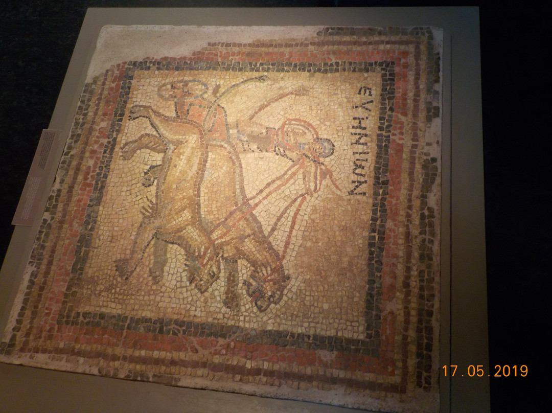 Archaeological Museum of Messenia景点图片