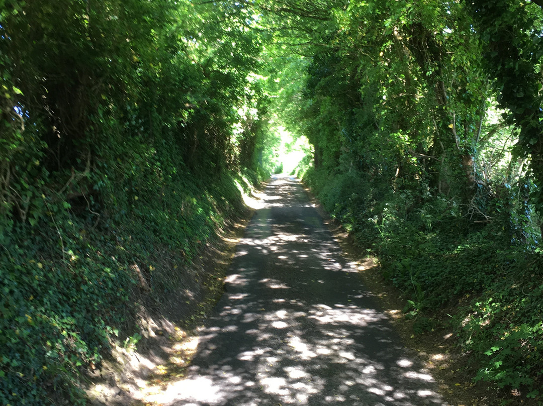 Little Solisbury Hill-Batheaston必去景点
