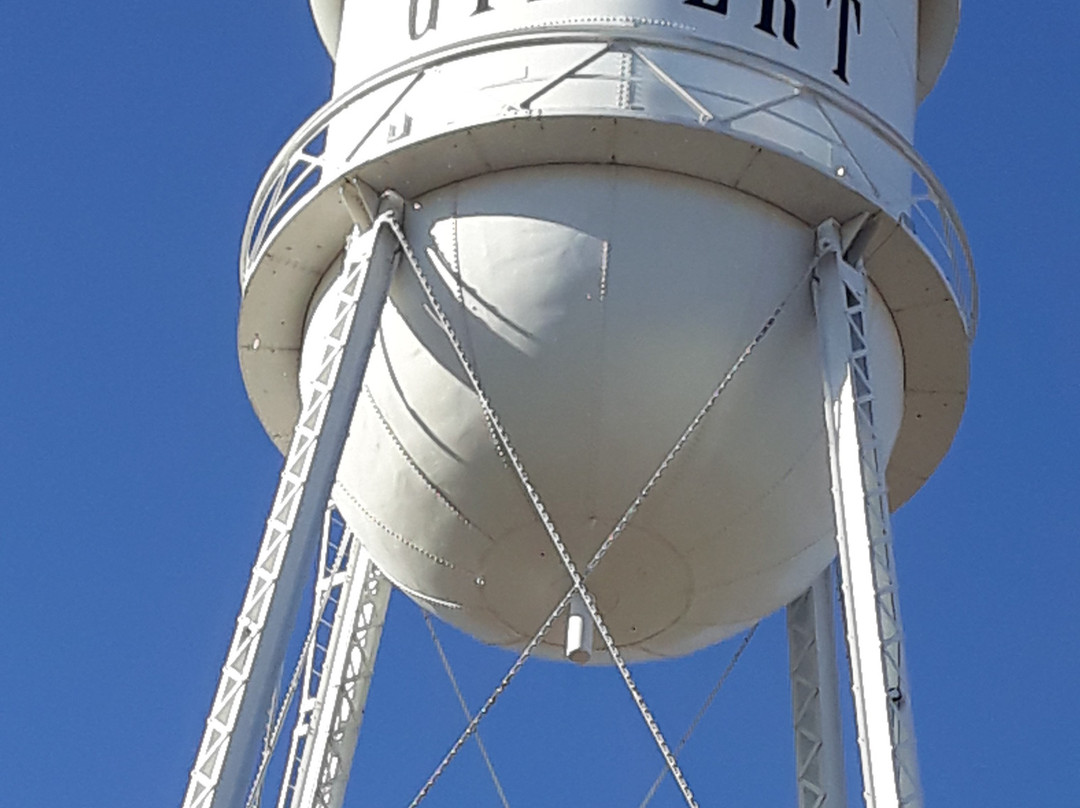 Gilbert Farmers Market-吉尔伯特必去景点