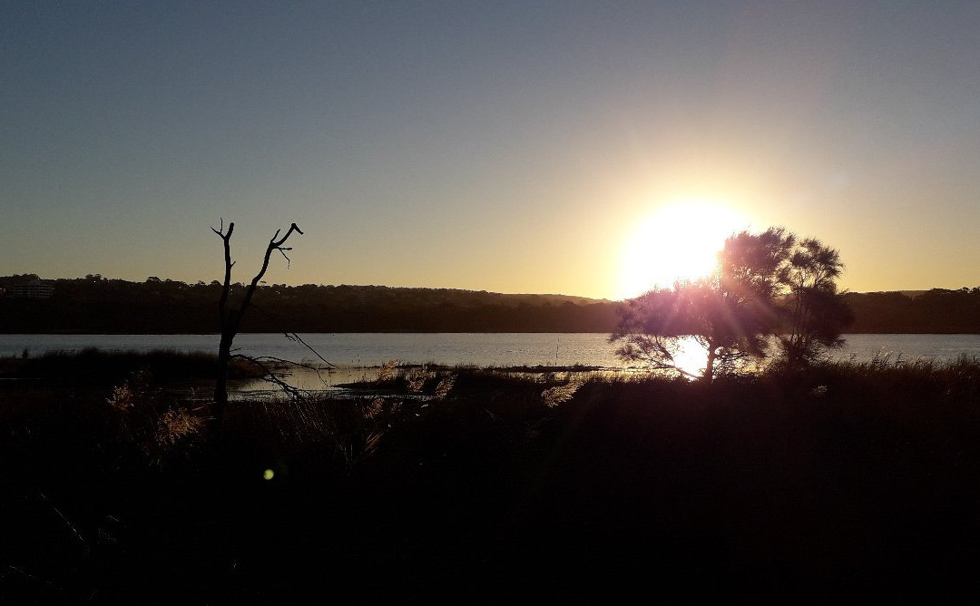 Dee Why Headland walk景点图片
