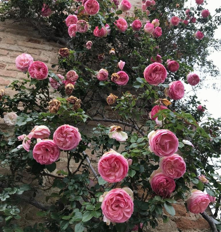 Castello di Pavarolo景点图片