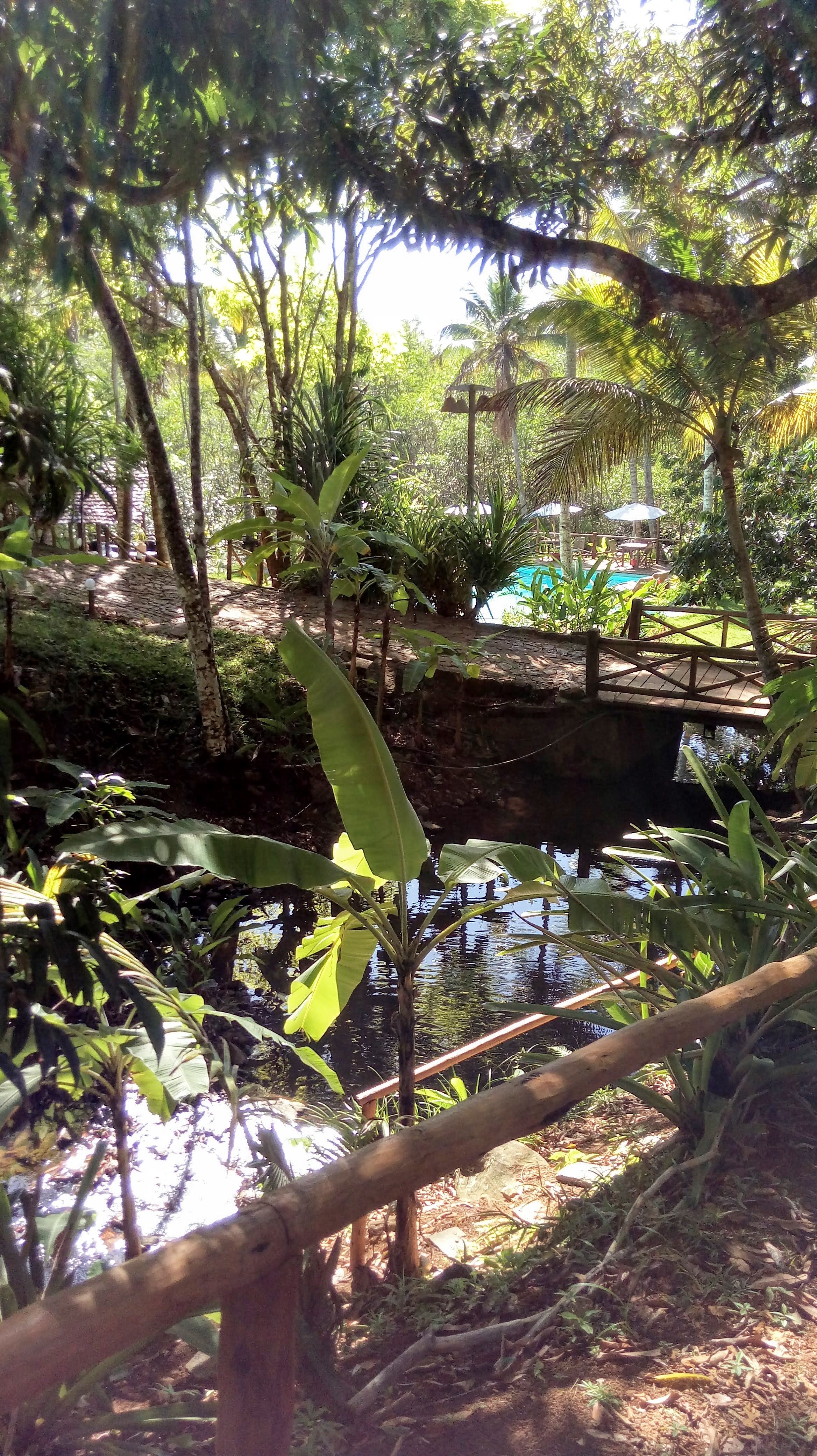 Itacare Eco Resort-泳池