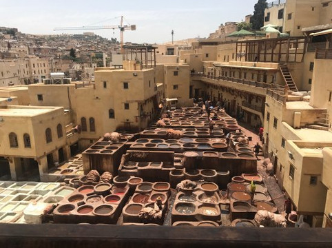 Fes Morocco Desert Tours-非斯必去景点