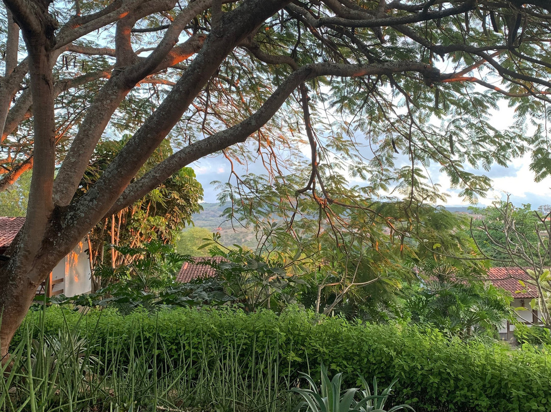 Oasis Boutique Hotel & Spa主图