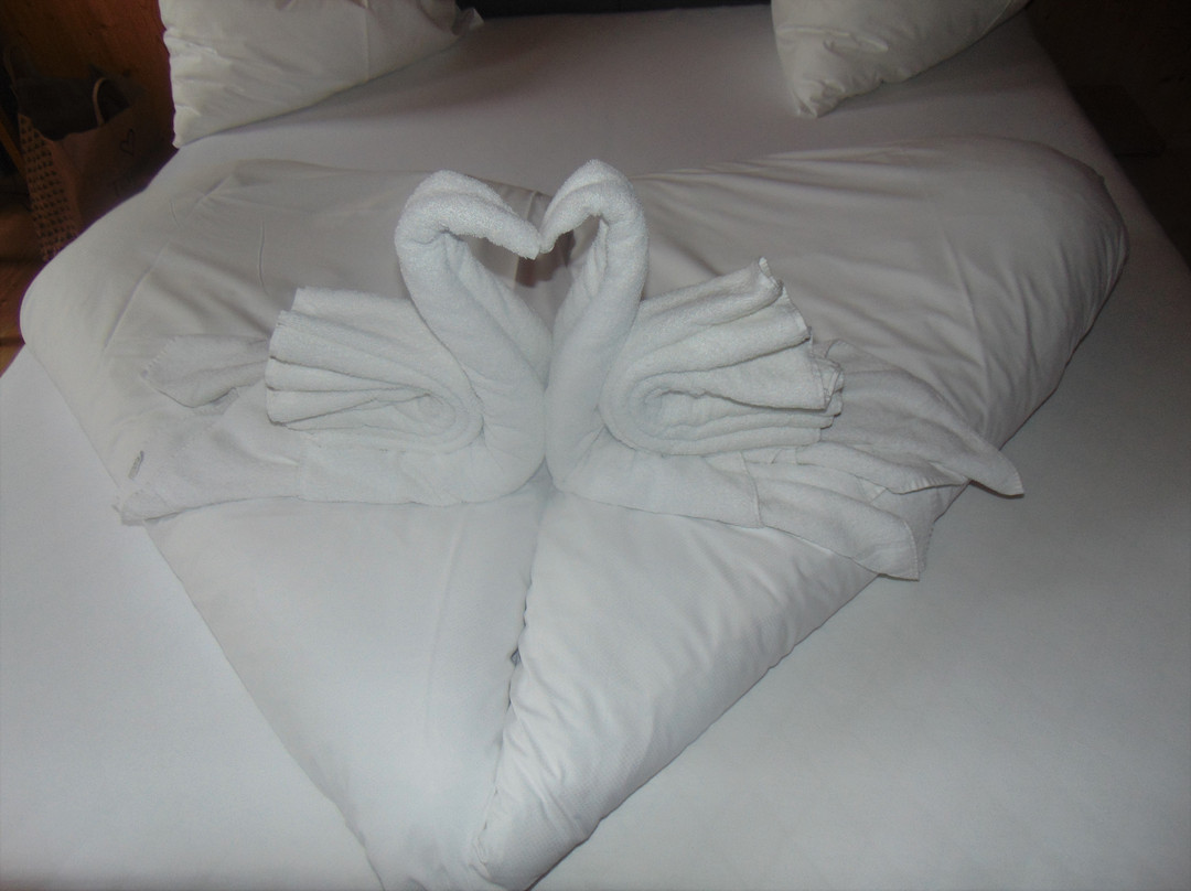 阿莫沃尔德阿尔彭酒店主图