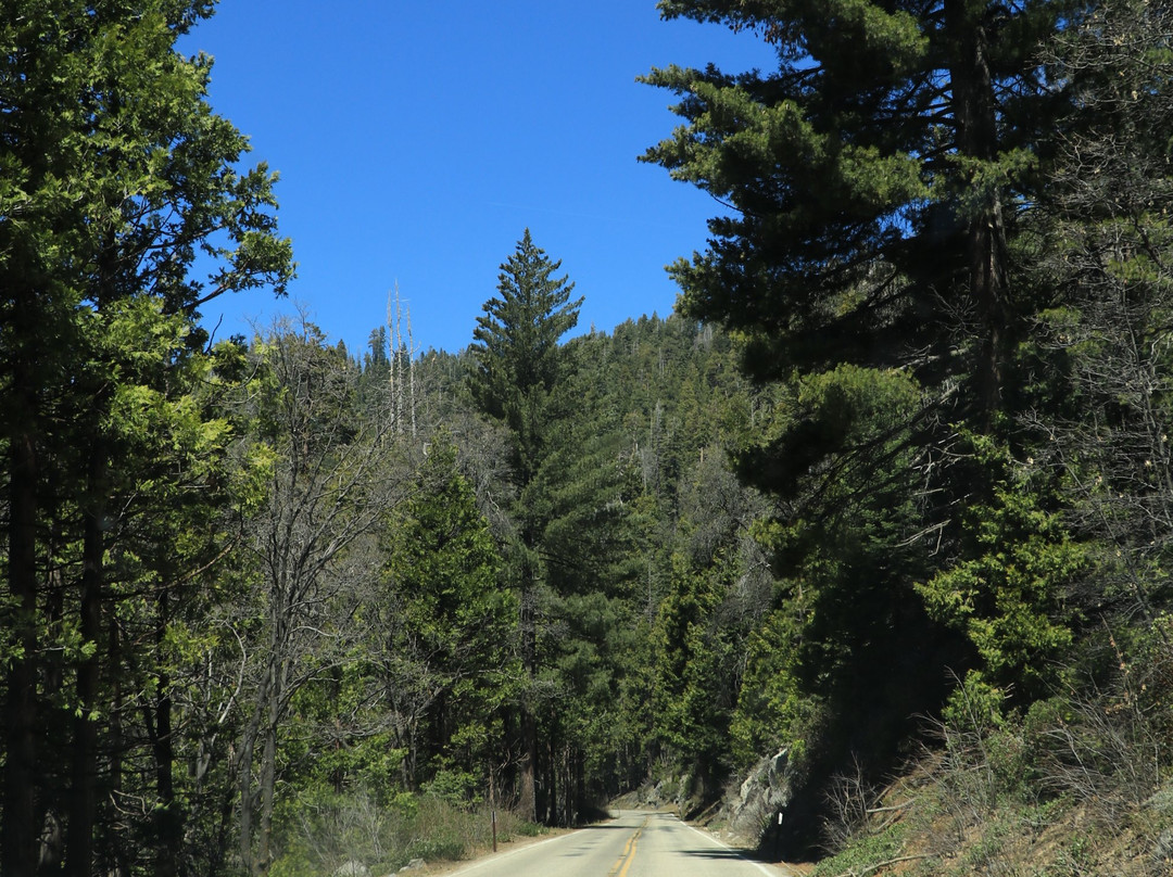 Hume Lake-红杉&国王峡谷国家公园必去景点