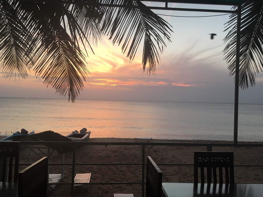 Dutch Bay Beach Cottages主图