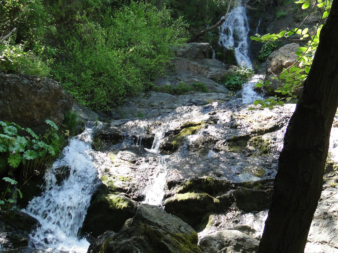 Codfish Creek Trail-Colfax必去景点