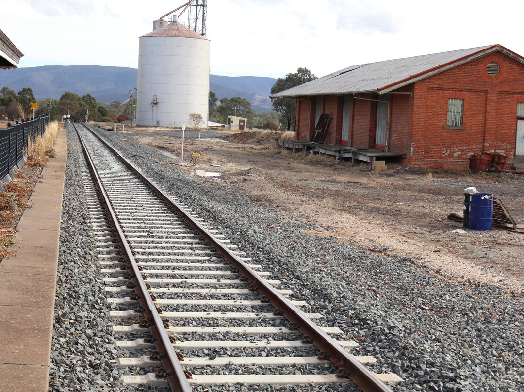 Avoca旅游景点-Gallery 127