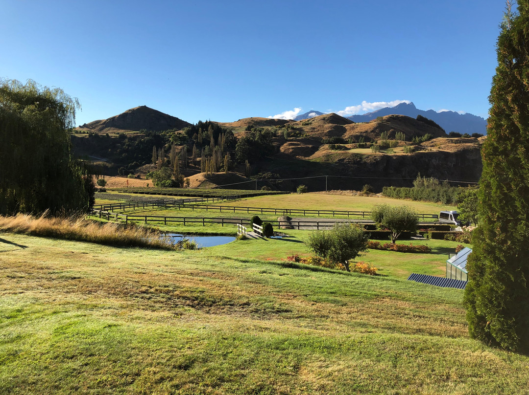 Ben Lomond Lavender-皇后镇必去景点