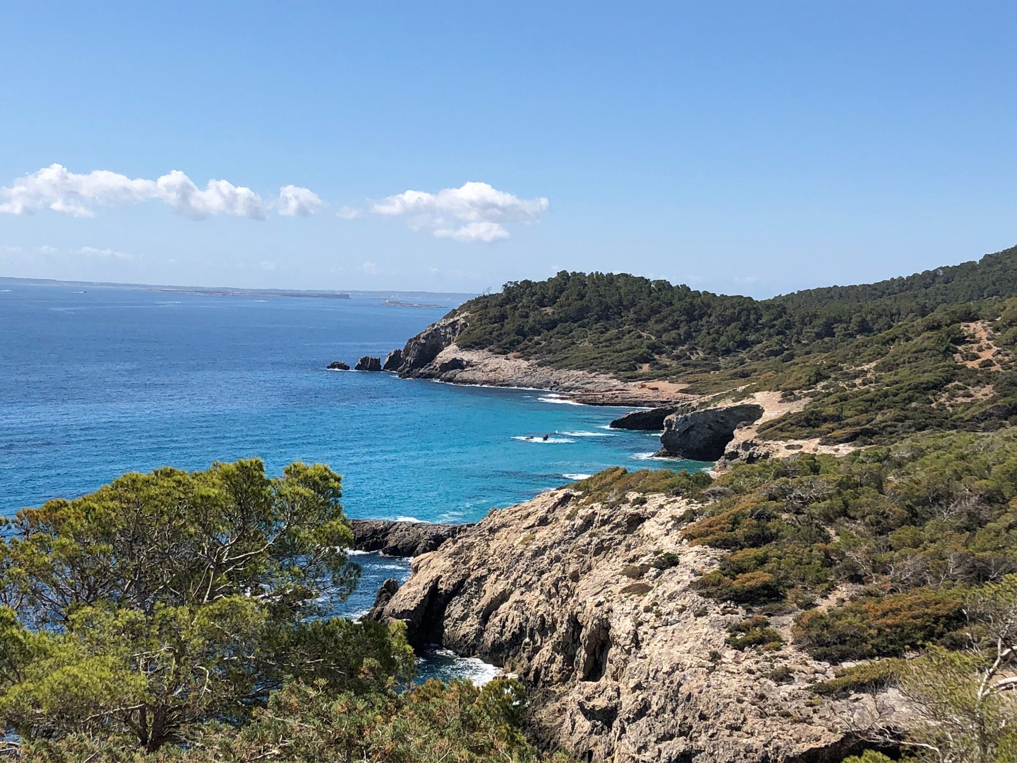 Hotel Rosales Formentera-官方