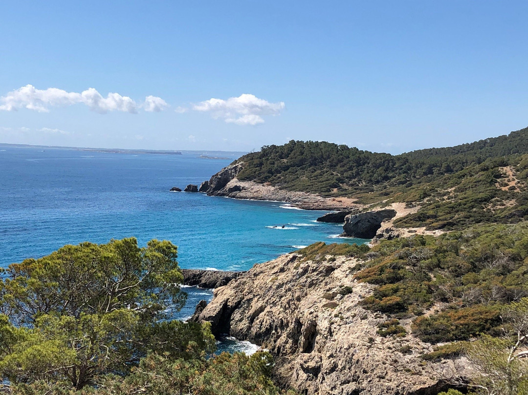 Hotel Rosales Formentera主图