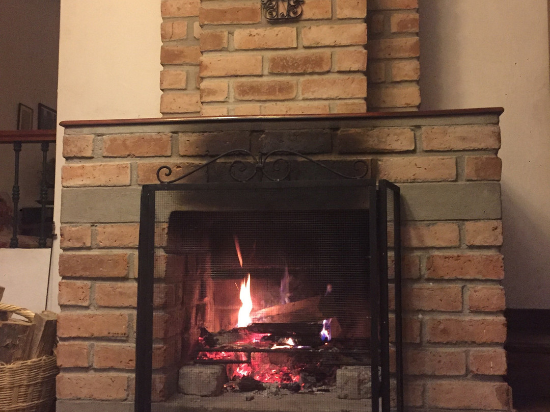 Hotel El Patio de Monterrey主图