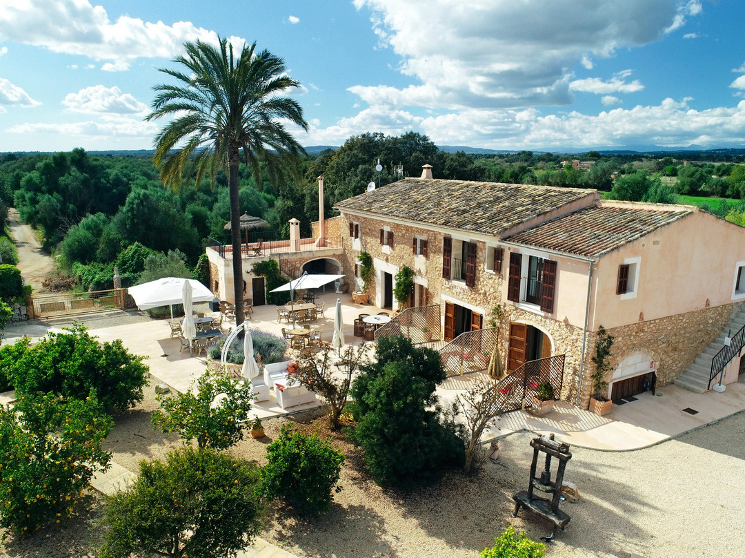 Agroturismo Fincahotel Son Pou Felanitx主图