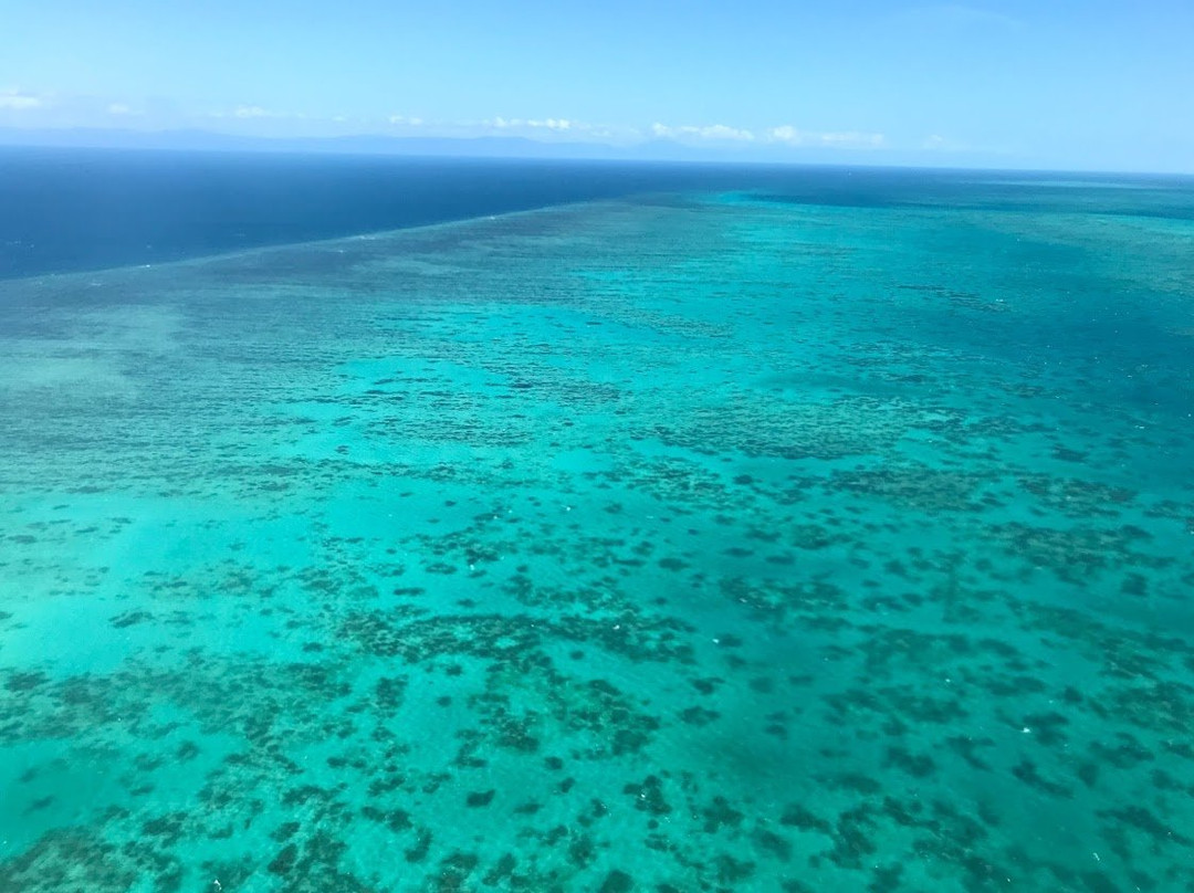 Cairns Visitor Centre景点图片