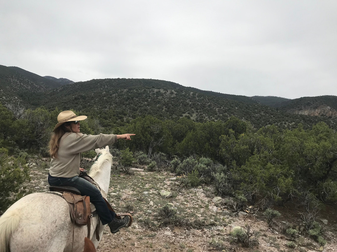 Cieneguilla Stables-陶斯县必去景点