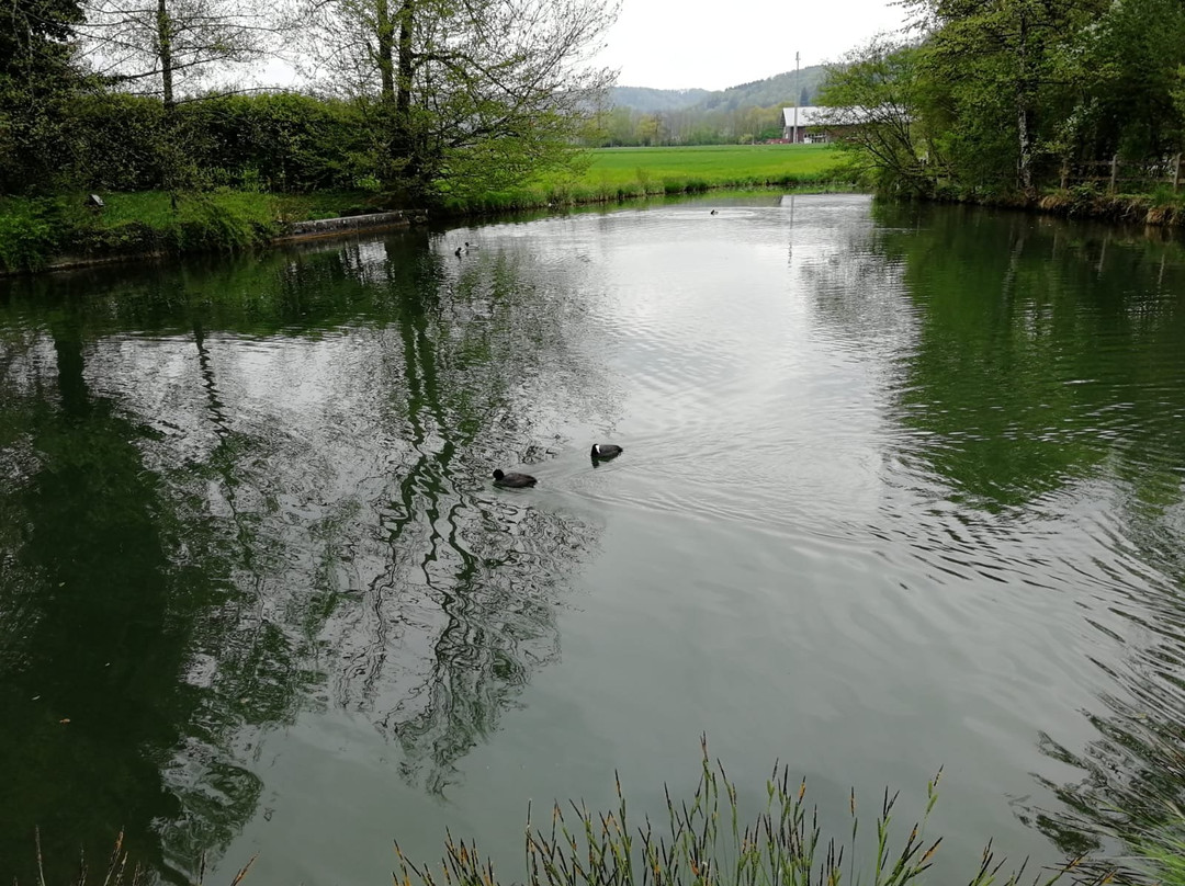 Klostergumpen-Embrach必去景点