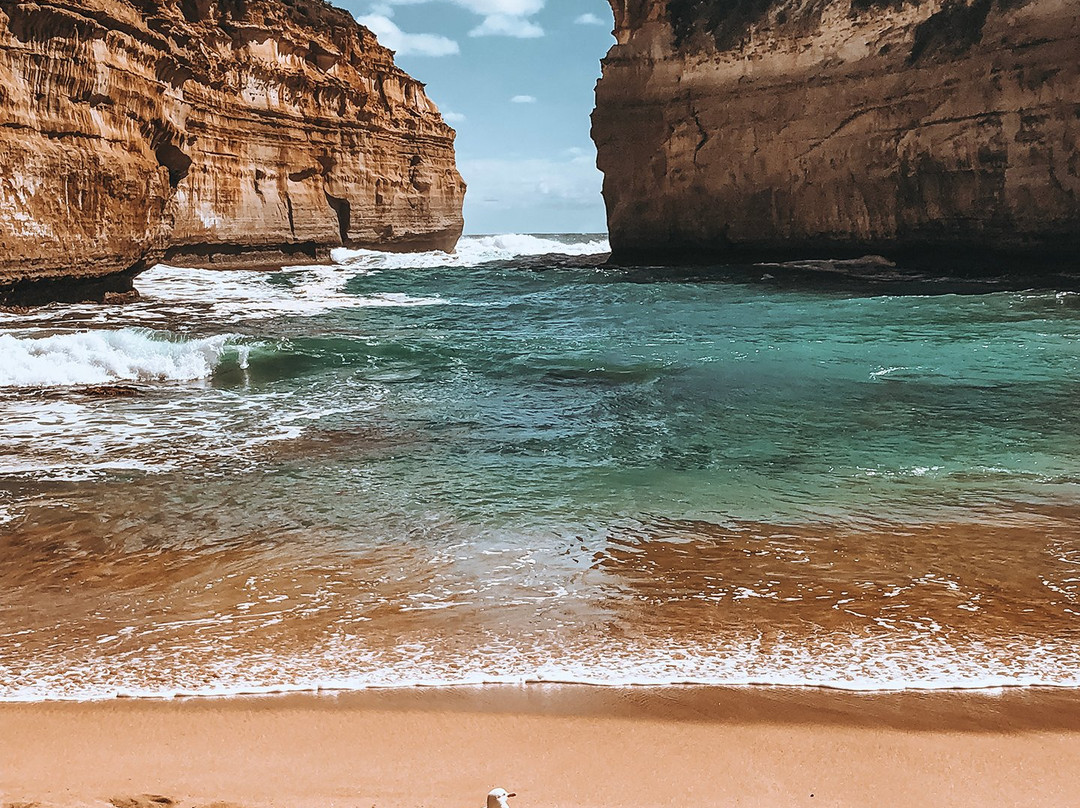 Hike & Seek-墨尔本必去景点