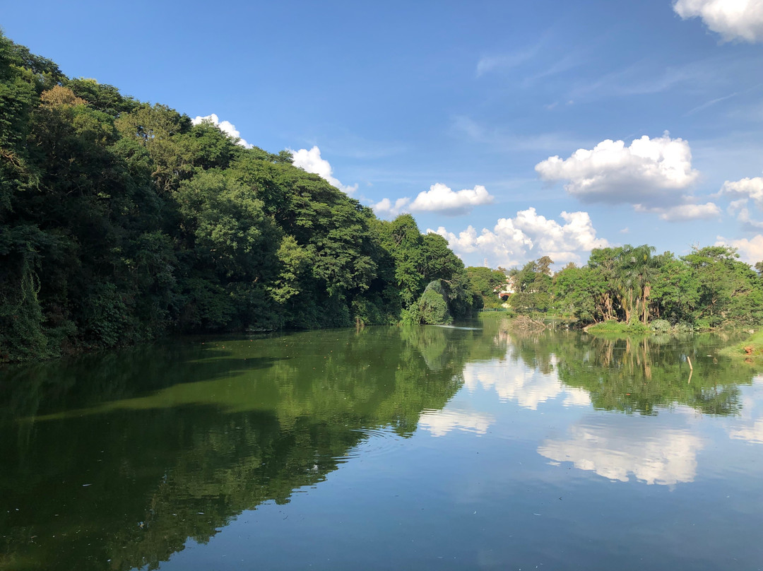 Parque Zoologico Municipal Quinzinho De Barros景点图片