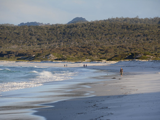 Freycinet Experience Walk-科尔斯湾必去景点