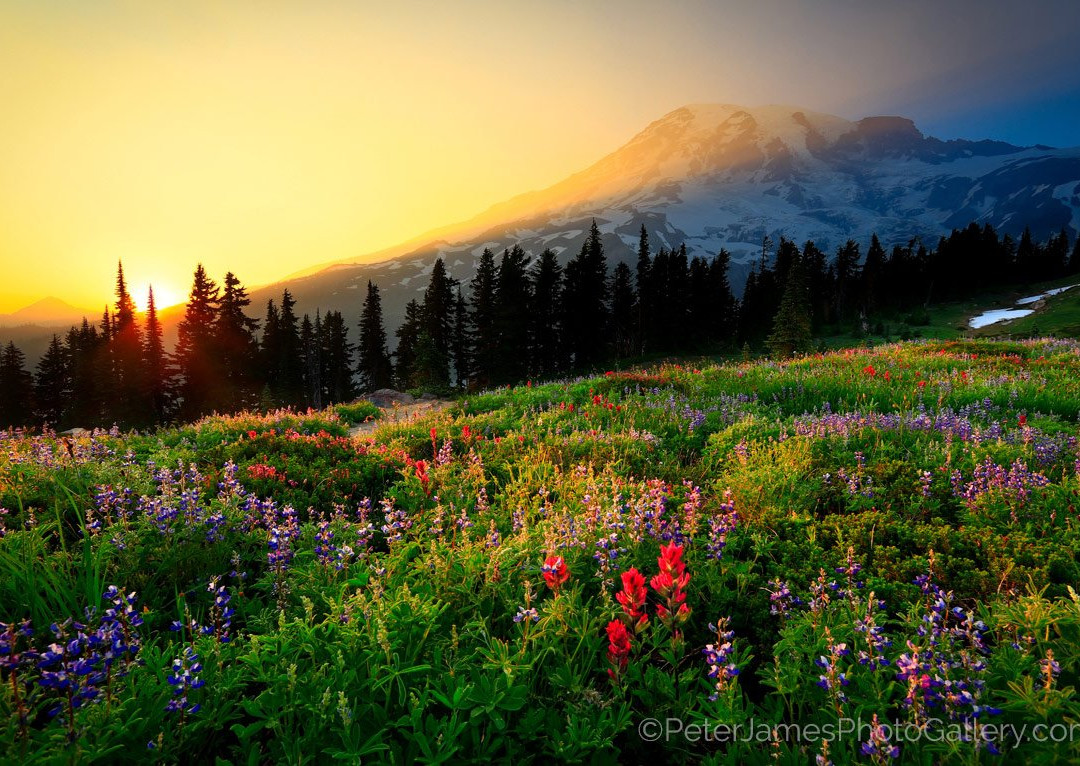 Peter James Photography Gallery-贝灵厄姆必去景点