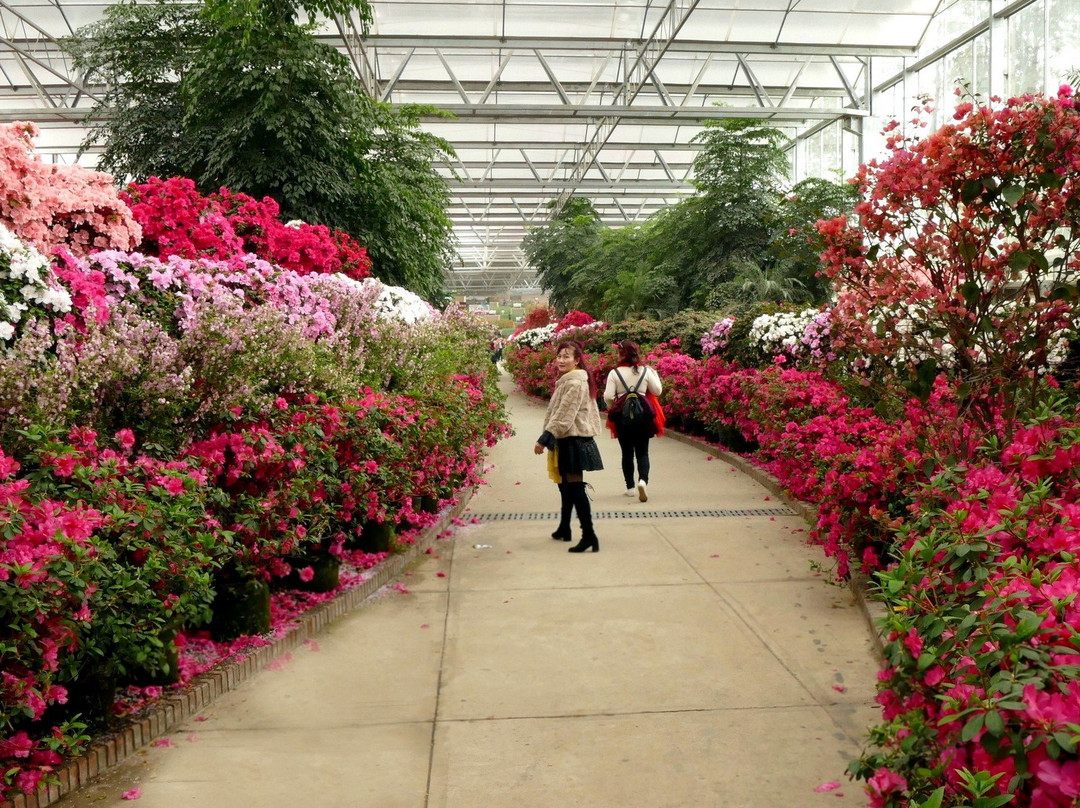 花舞人间旅游景区-新津县必去景点