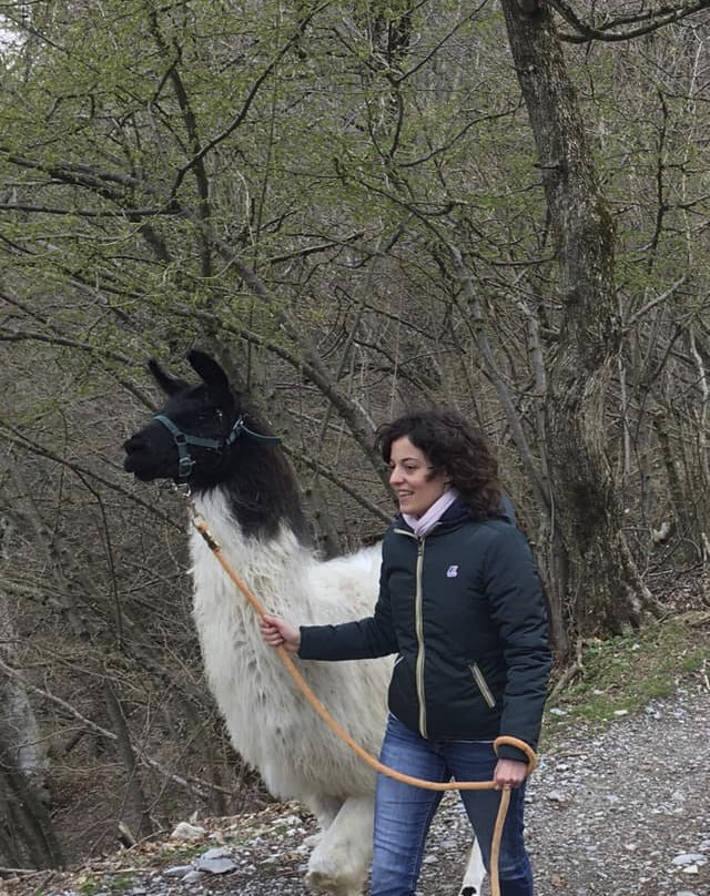 Passeggiata con i Lama-Blessagno必去景点