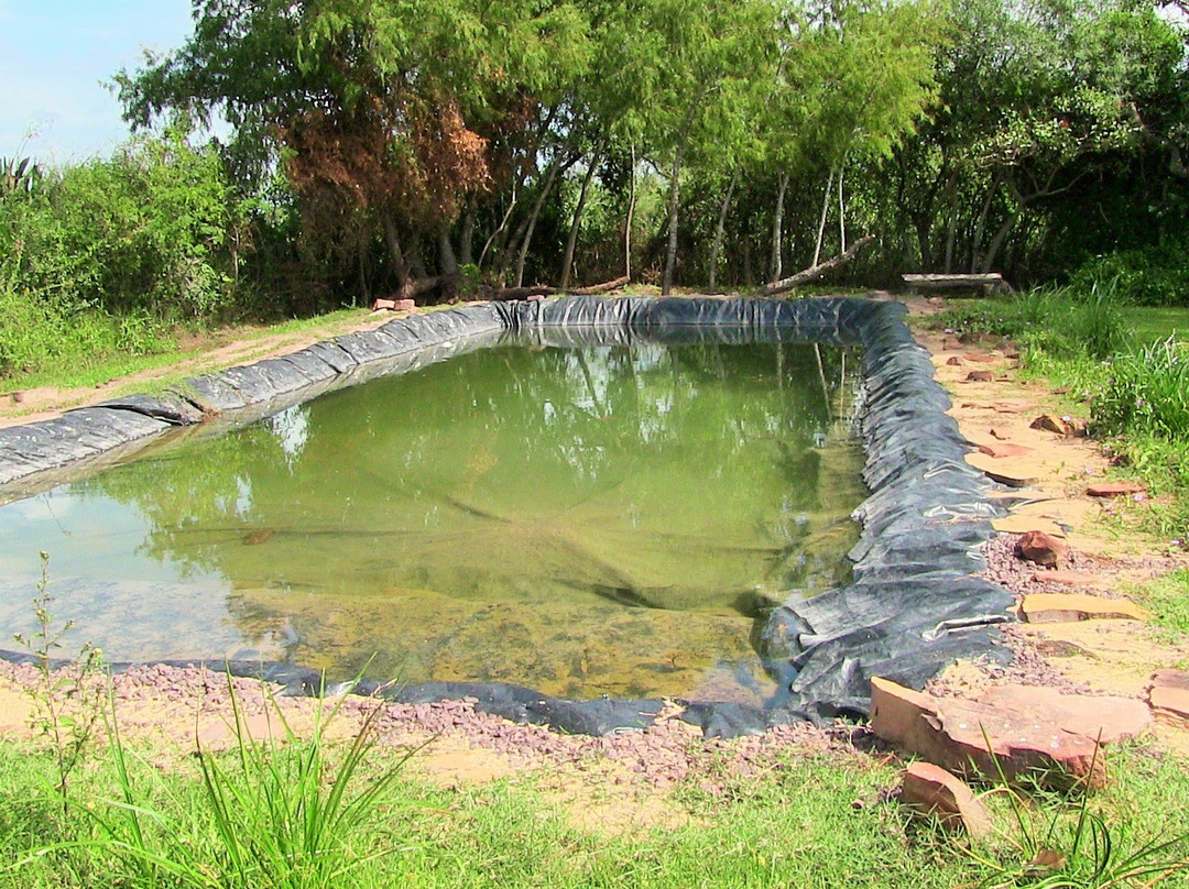 Jasy Hostería主图