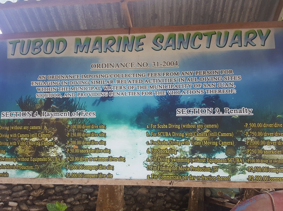 Tubod Marine Sanctuary景点图片