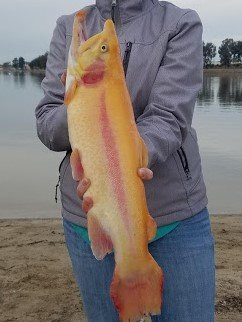Santa Ana River Lakes-阿纳海姆必去景点